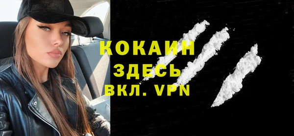 крисы Новодвинск