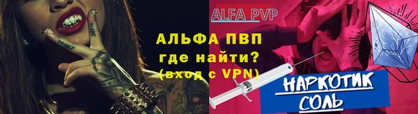 крисы Новодвинск
