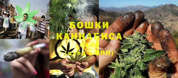 крисы Новодвинск