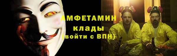 крисы Новодвинск