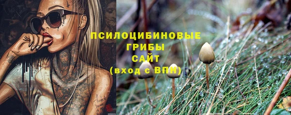 крисы Новодвинск