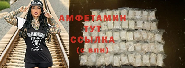 крисы Новодвинск