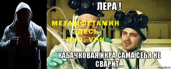 крисы Новодвинск