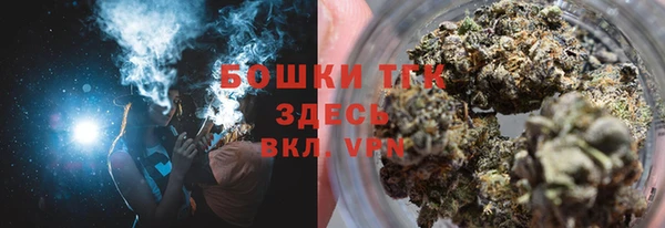 крисы Новодвинск